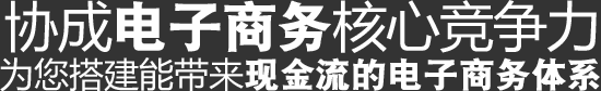 協(xié)城電子商務(wù)核心競爭力,為您搭建能帶來現(xiàn)金流的電子商務(wù)體系 協(xié)城電子商務(wù)核心競爭力,為您搭建能帶來現(xiàn)金流的電子商務(wù)體系